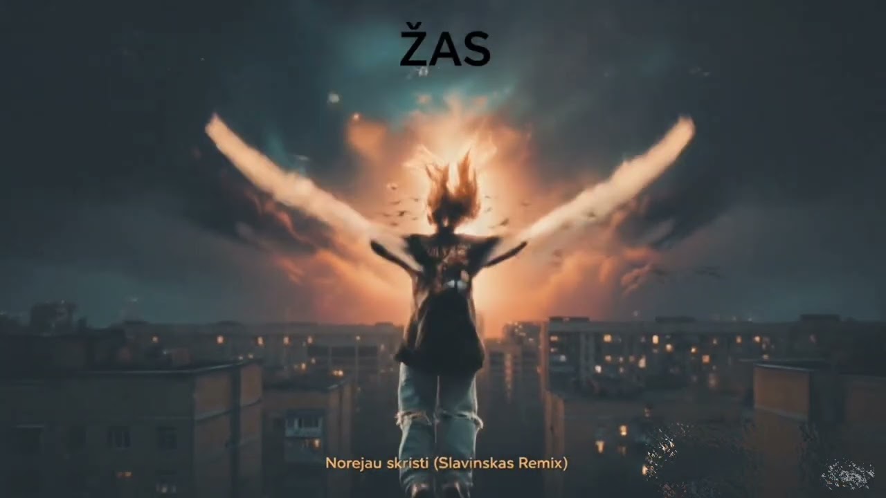 Žas - Norėjau Skristi (Slavinskas Remix) NAUJIENA!