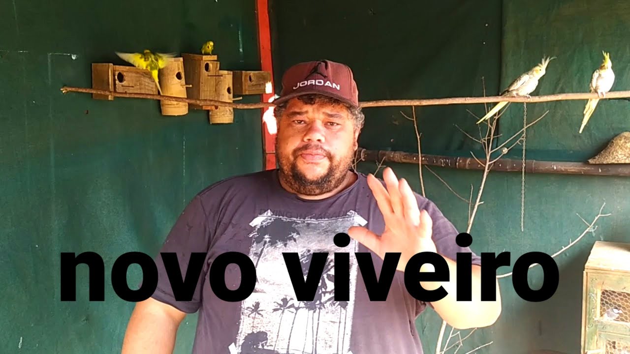 fiz outro viveiro pra separar os pássaros