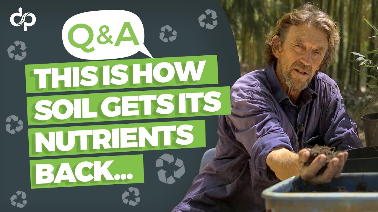 This is How Soil Gets its Nutrients back