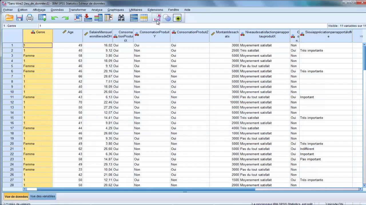 Formation SPSS : Importation et codage automatique des données sur SPSS