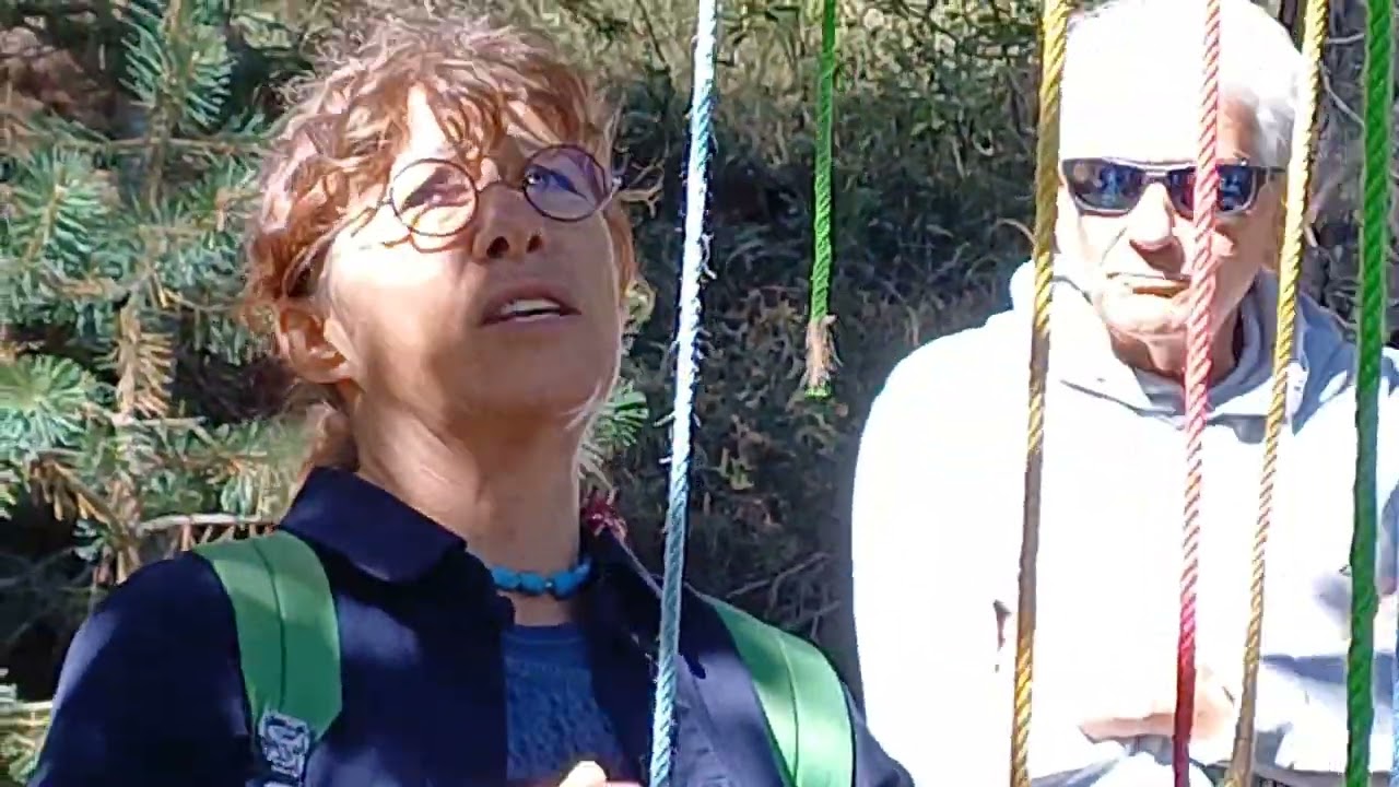 Expo no-made 2024 &agrave; l'Arboretum de Roure