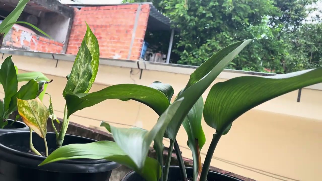 30 de janeiro de 2026