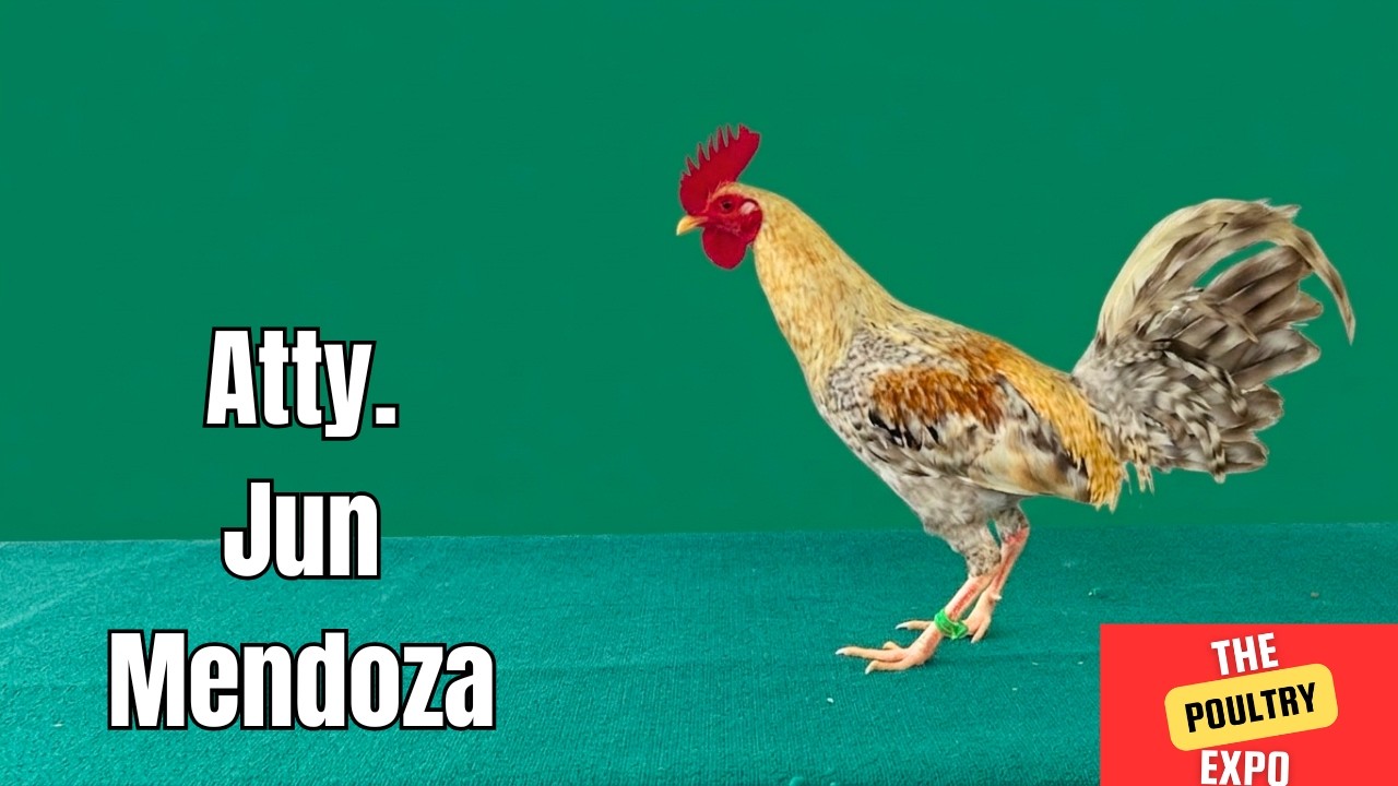 IGF 2026 | Atty. Jun Mendoza