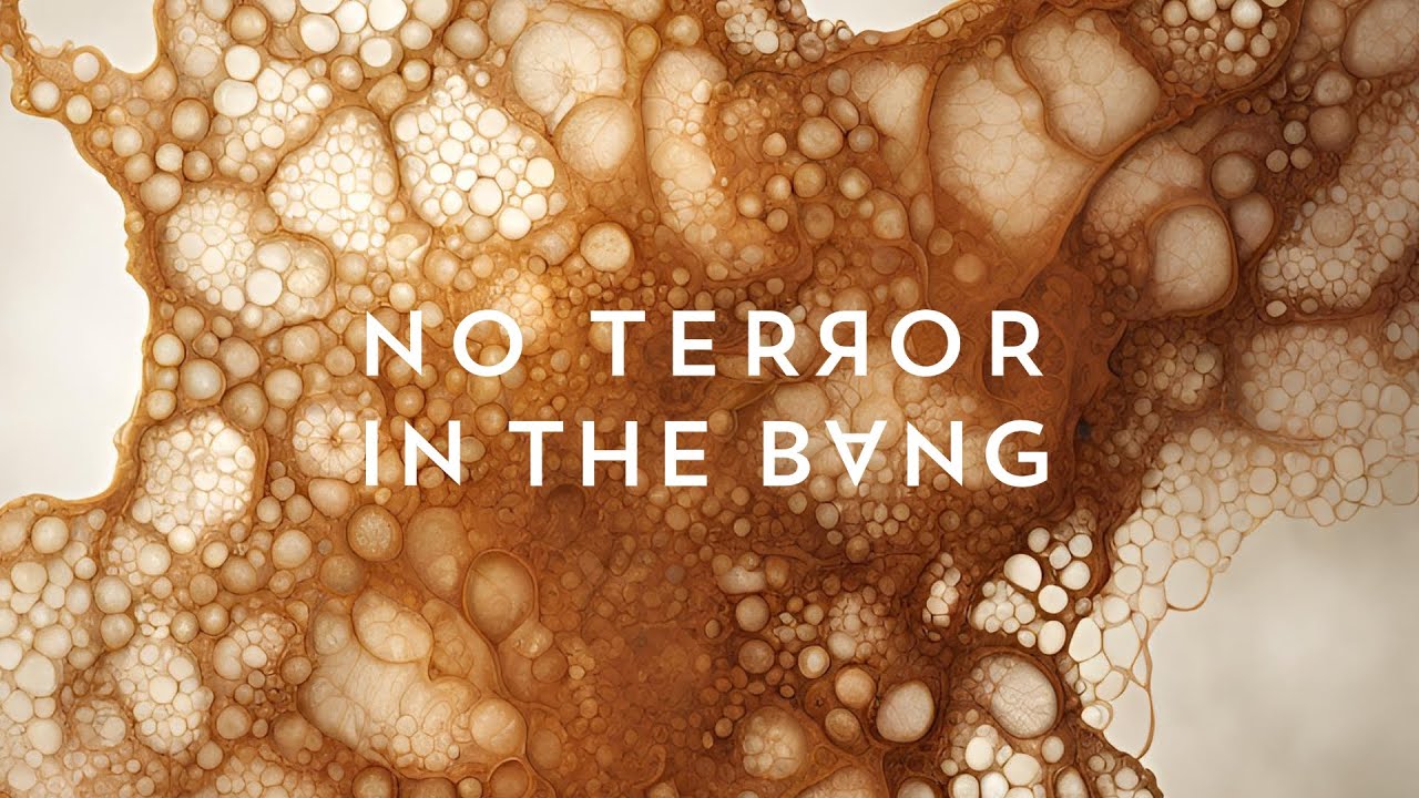 No Terror in the bang - Lulled by the waves 