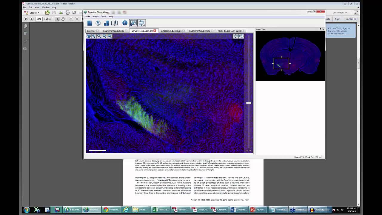 Exploring Big Data in Microscopy