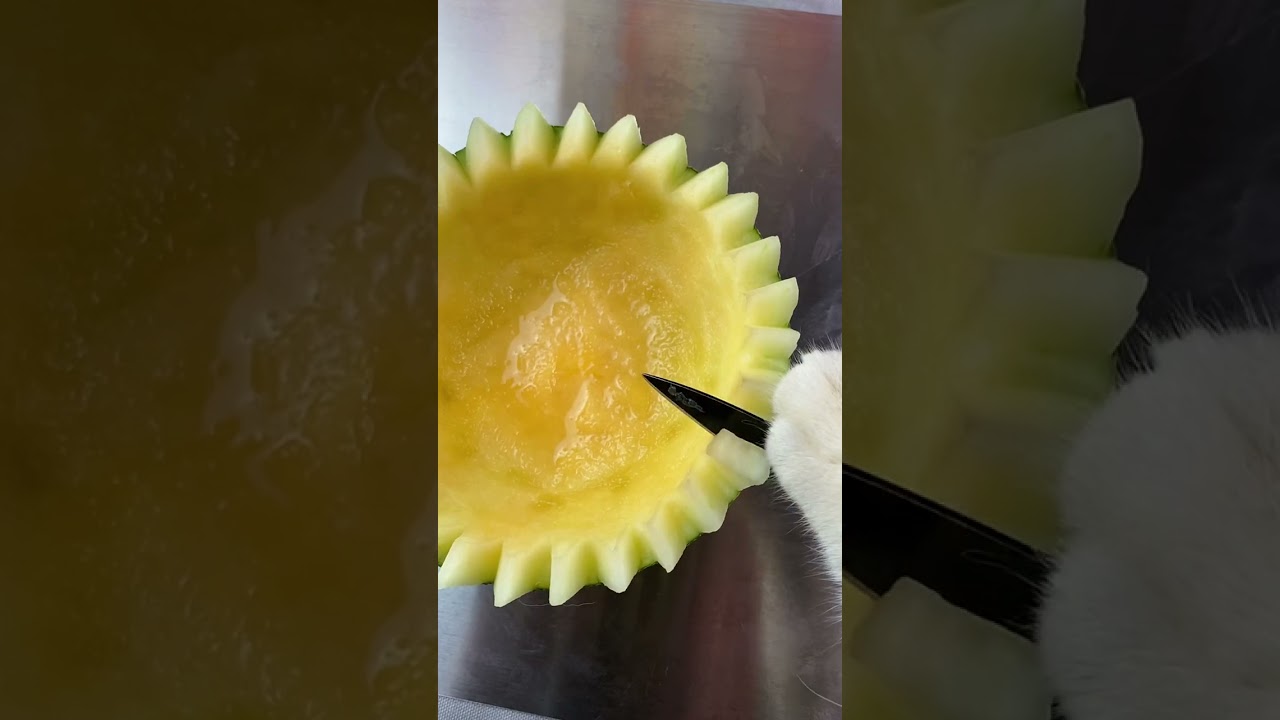 Super Cats Chef😄😍 Funny Smart Cats ASMR MUKBANG  Best Of The 2021 Funny Animal Videos 62