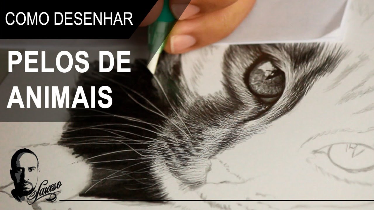 Vídeo Aula - Como desenhar pelos || Charles Laveso
