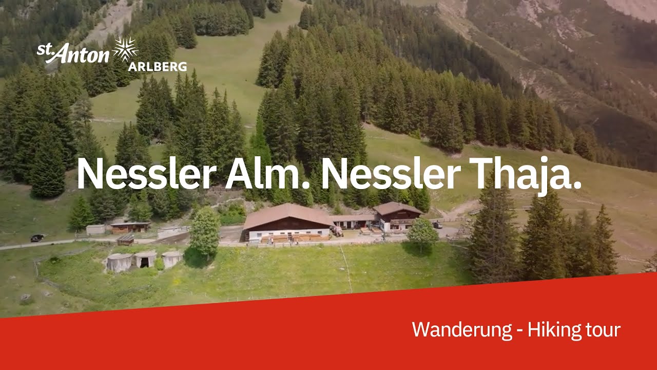 Eine Wanderung zur Nessler Alm mit Wanderf&uuml;hrer Frank