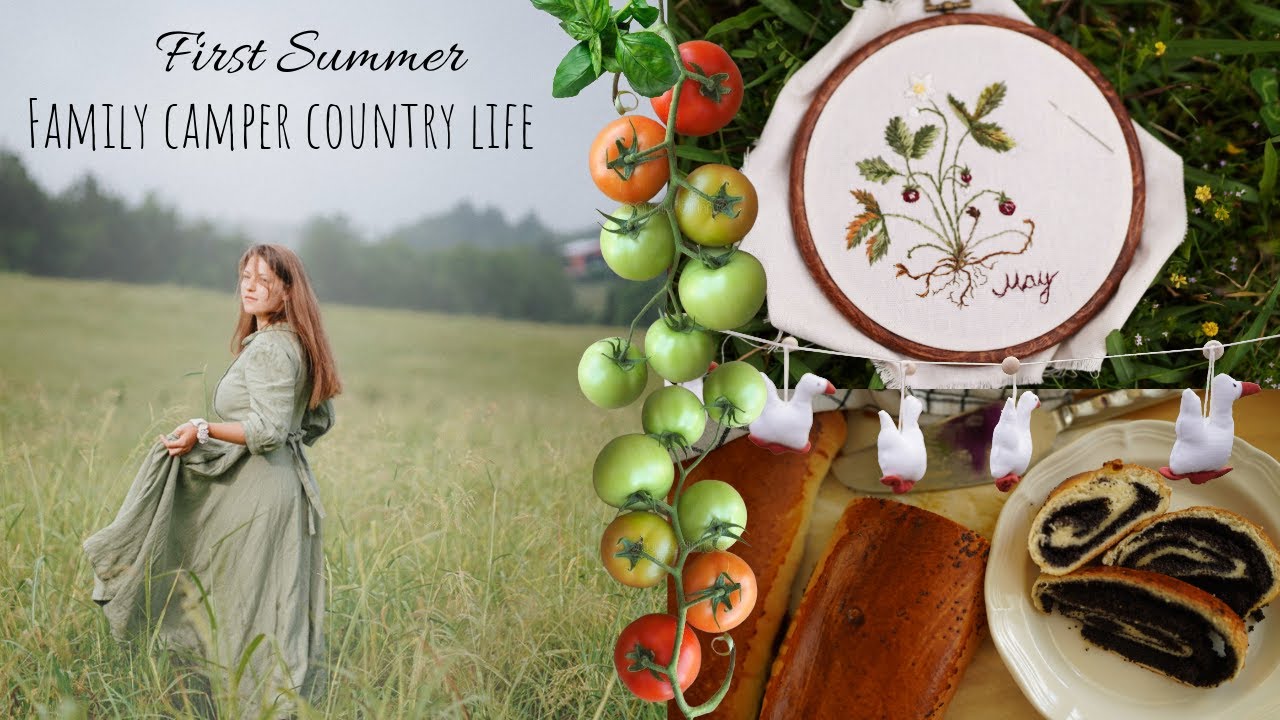 Family Camper Country Life | First summer, growing a garden, baking rhubarb & poppyseed rolls