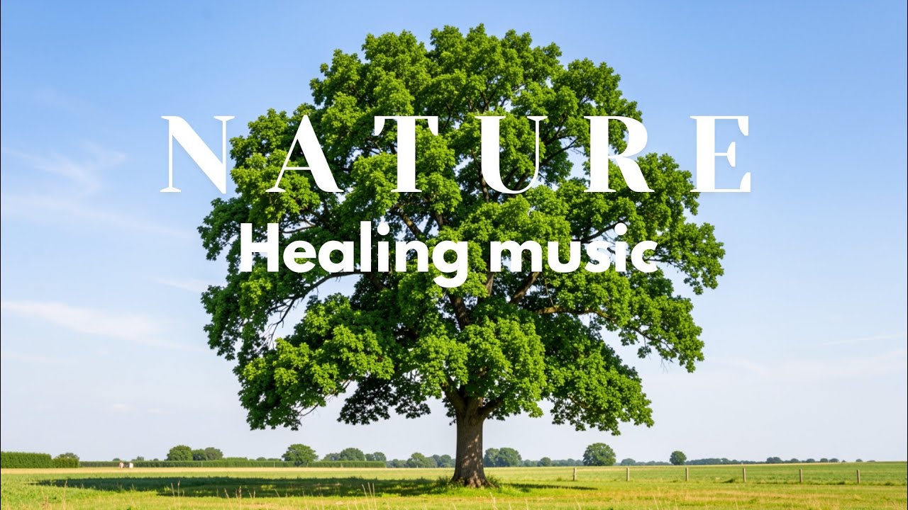 Healing Nature Music 🎵