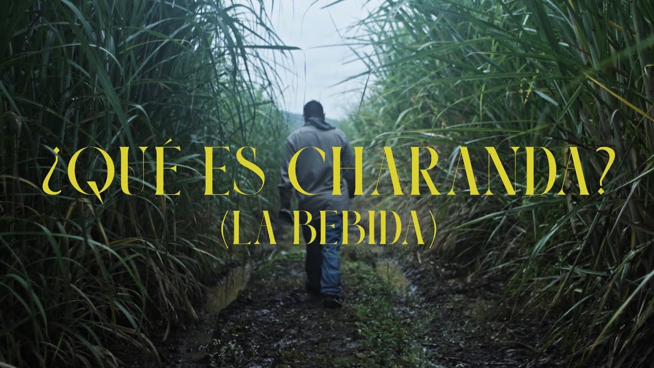 Paseando por Uruapan CAP. 1 &iquest;QUE ES CHARANDA?