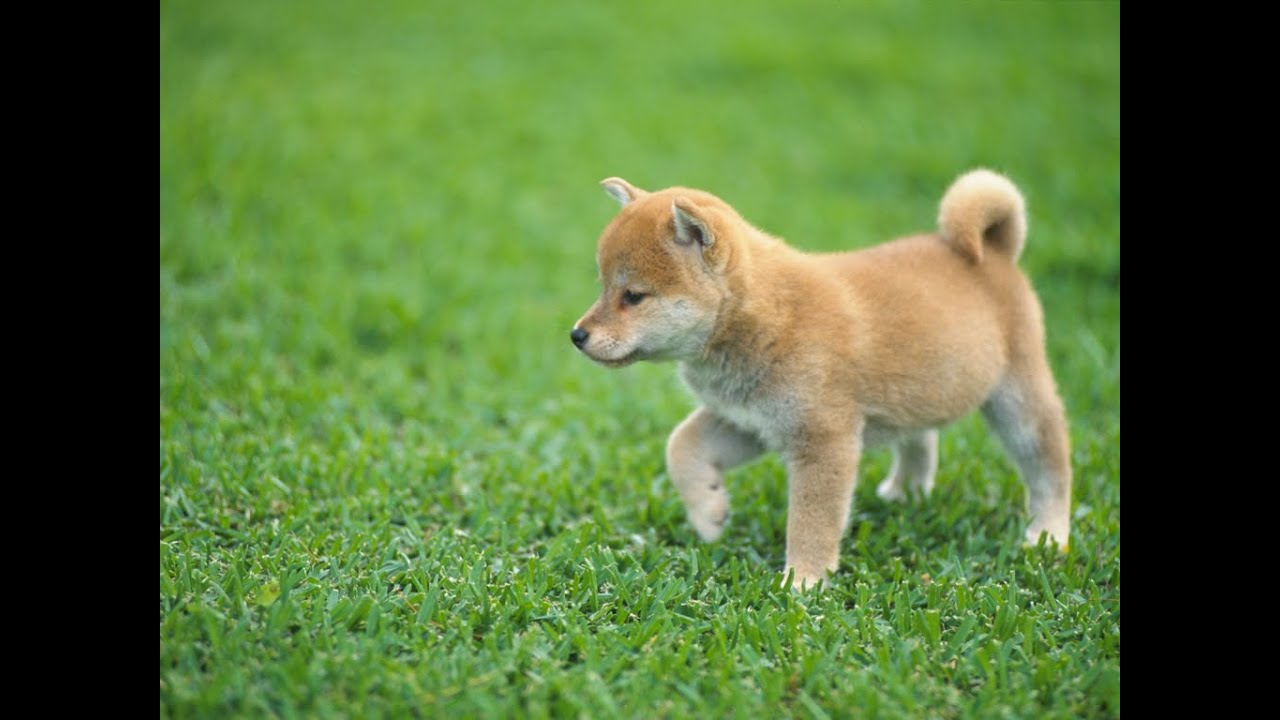 【麻雀】・・半荘戦で、いい感じにするｗ・・【一番街】