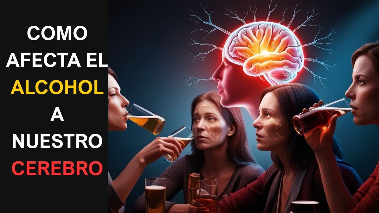 Lo que Pasa en tu Cerebro cuando Bebes Alcohol