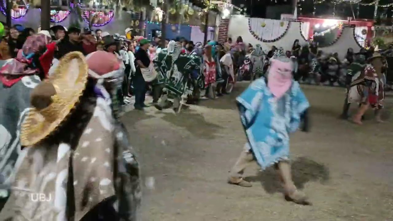 Tecuanes vs Los lobos 🔥 Danza  de los tecuanes de Tepalcingo, Morelos