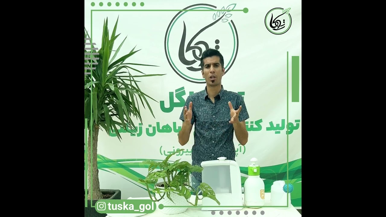 ساخت جزیره برای گلهای آپارتمانی
