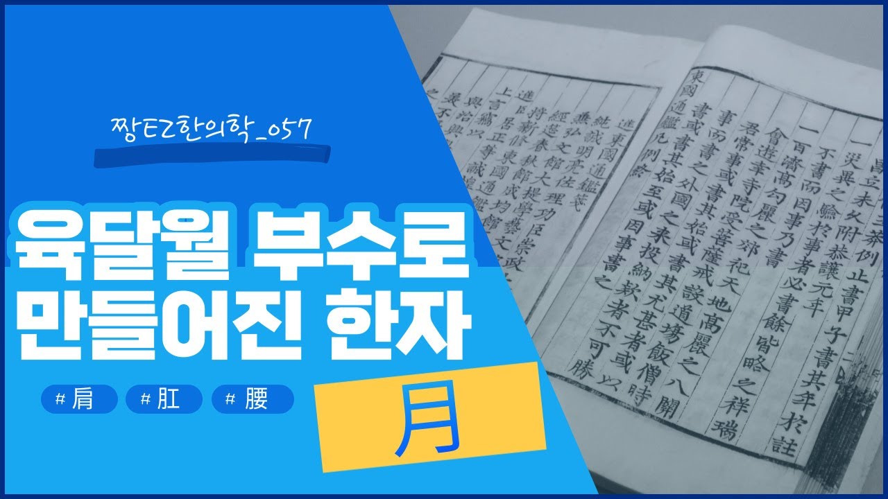 육달월(月)부수로 만들어진 한자 / 재미있는 한의학과 한자 이야기
