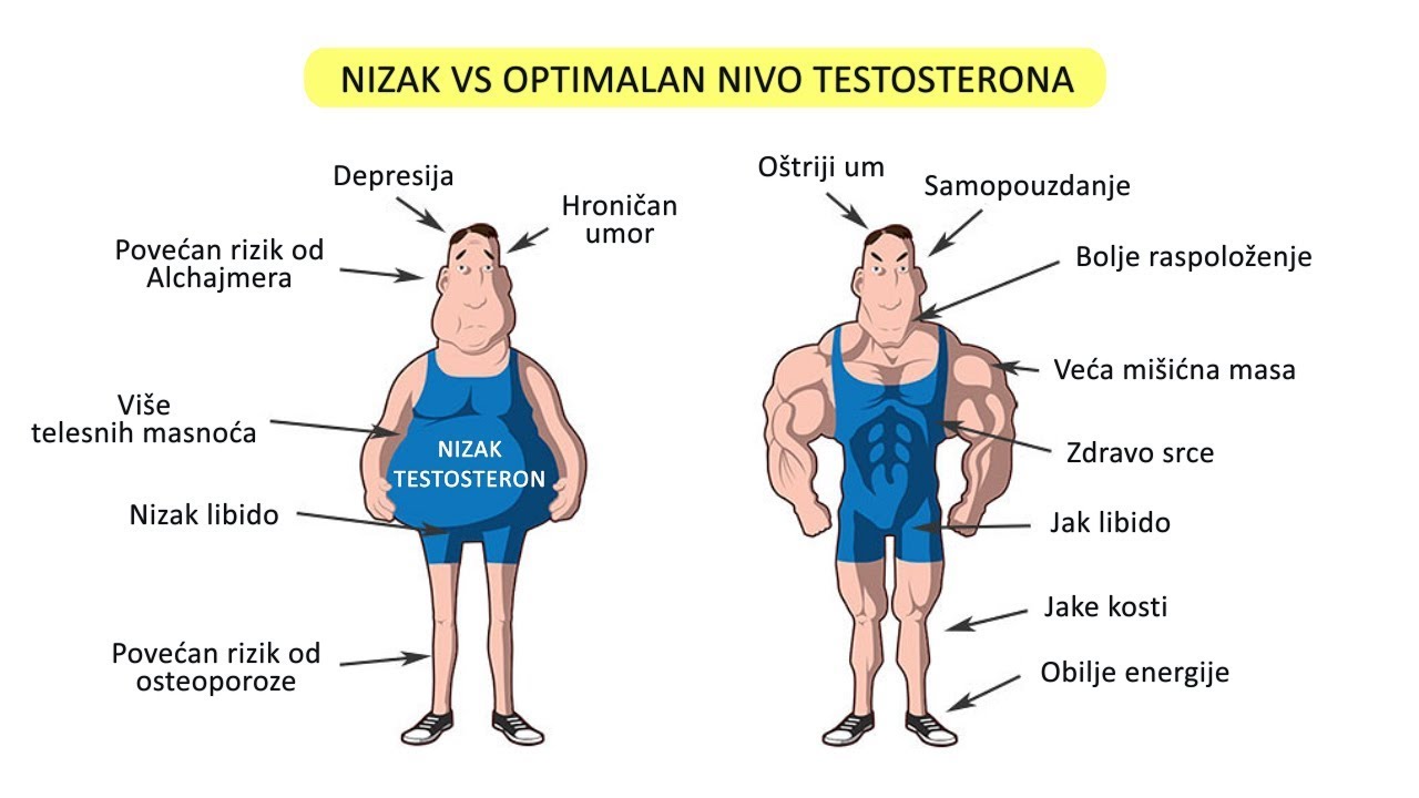 NIZAK NIVO TESTOSTERONA KOD SPORTISTA
