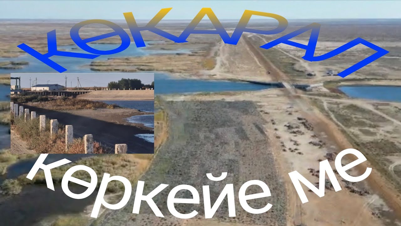 Кіші Арал бүгін. 29.09.2025