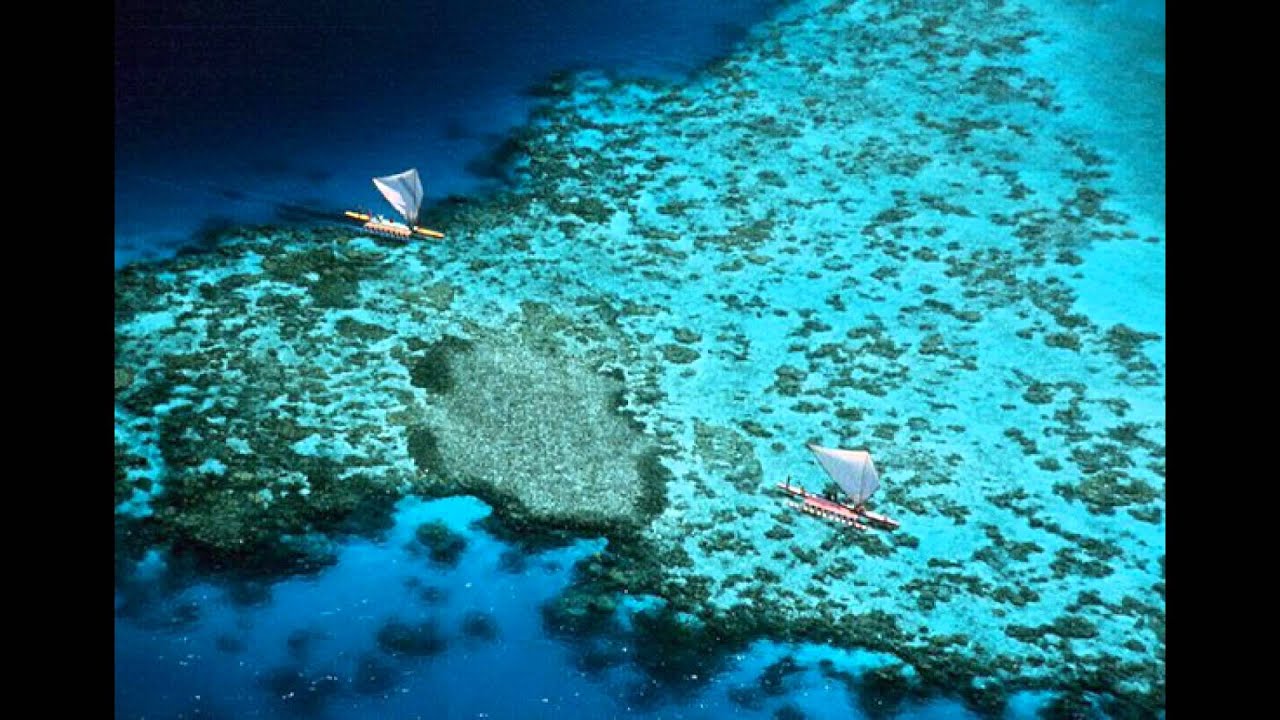 Akino 2014 Koena siaku talanonu