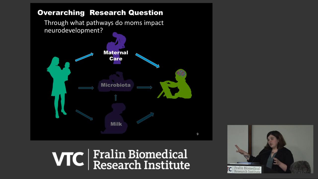 Pathways of Maternal Influence on Infant Neurodevelopment