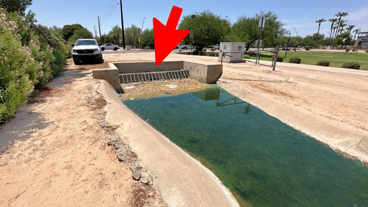 Fishing MICRO Canals On the Side of the Road! (Insane)
