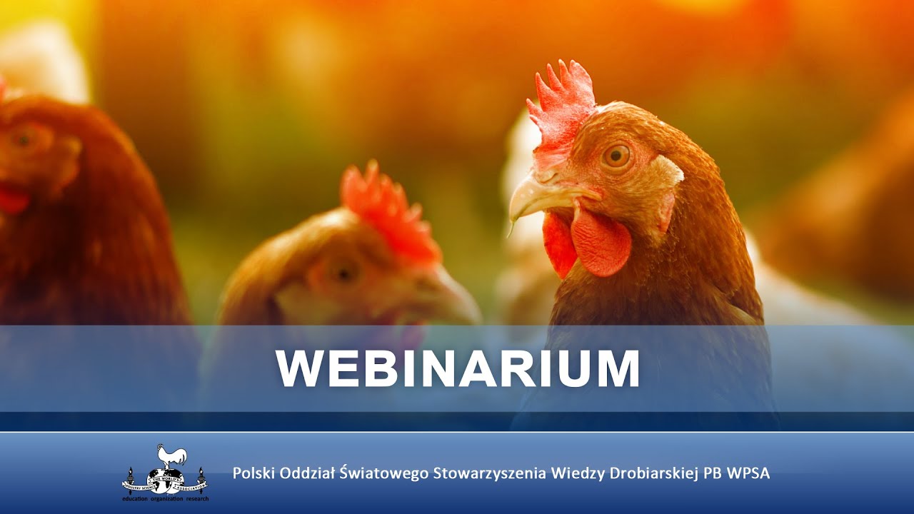 PB WPSA - Webinarium 25. maja 2023 r.