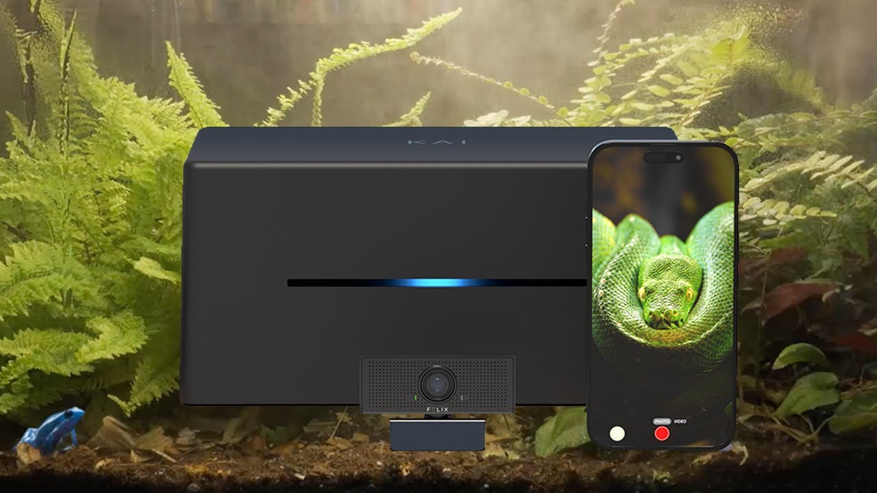 Automate ANY Terrarium, Vivarium, or Paludarium (Easy)