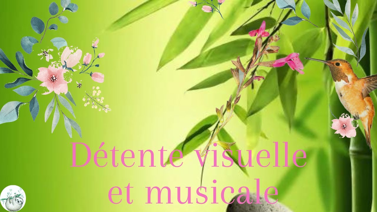 DETENTE MUSICALE ET VISUELLE