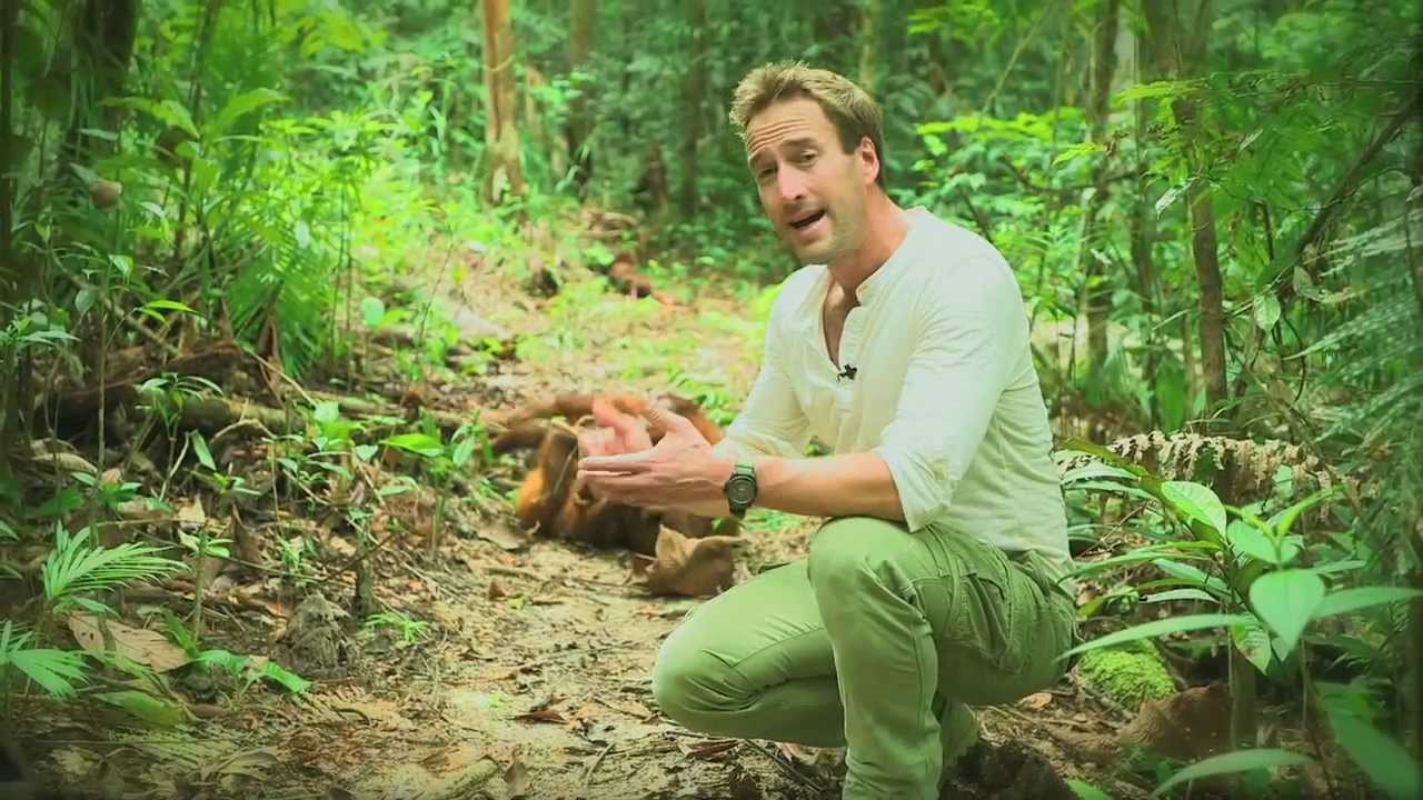 Ben Fogle's Sarawak Adventures - Matang Wildlife Centre