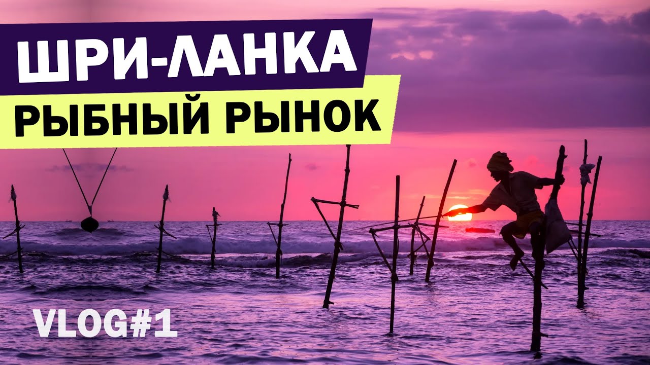 ВЛОГ: Прилетели на Шри-Ланку. Рыбный рынок, как не отдать Богу душу