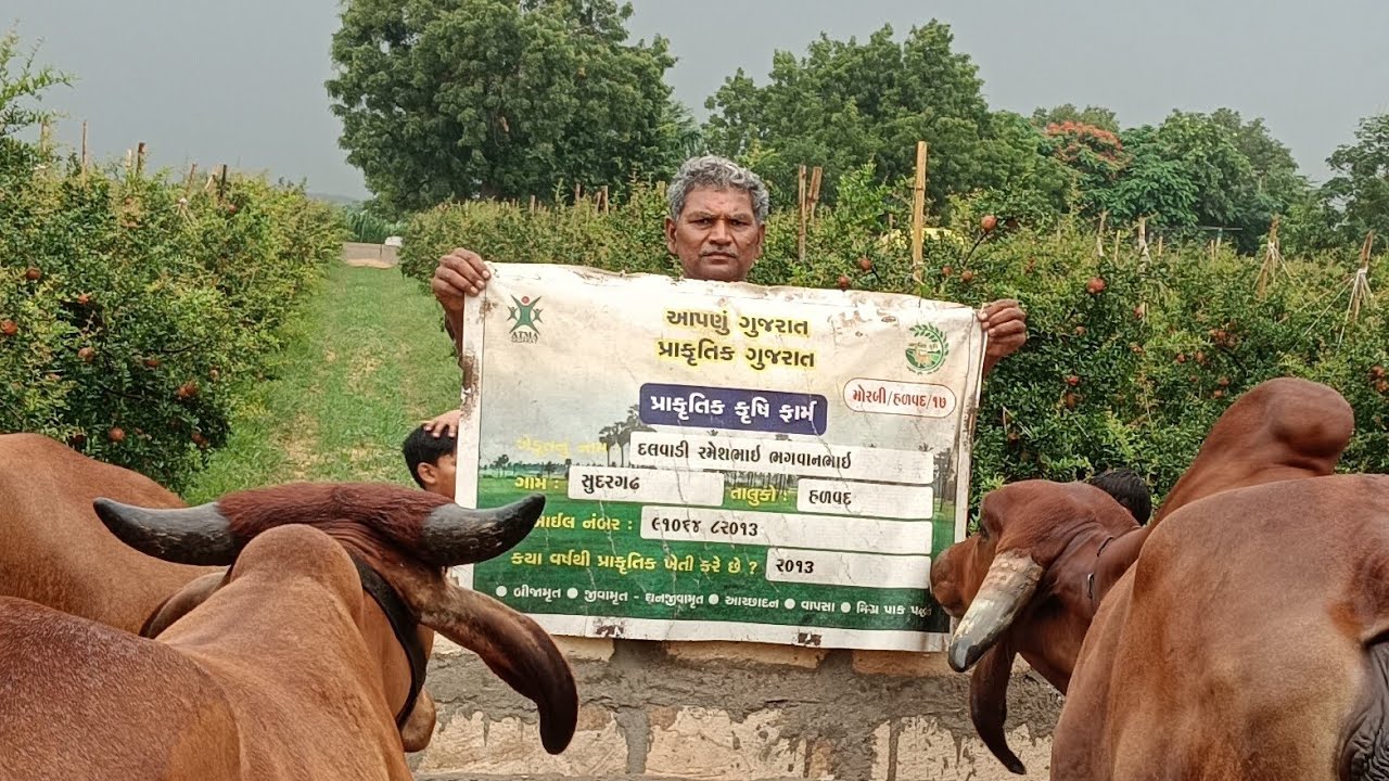 BAGLESS DAY VADI MULAKAT VAVA VANTOLIYA AAPO AAPO BE SUNDAR PANKH BALGIT SURYANAGAR PRIMARY SCHOOL