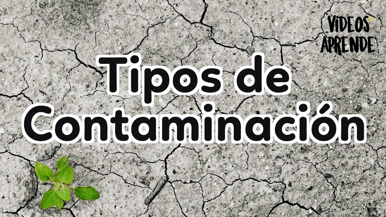 Contaminaci&oacute;n y sus tipos - Videos Aprende