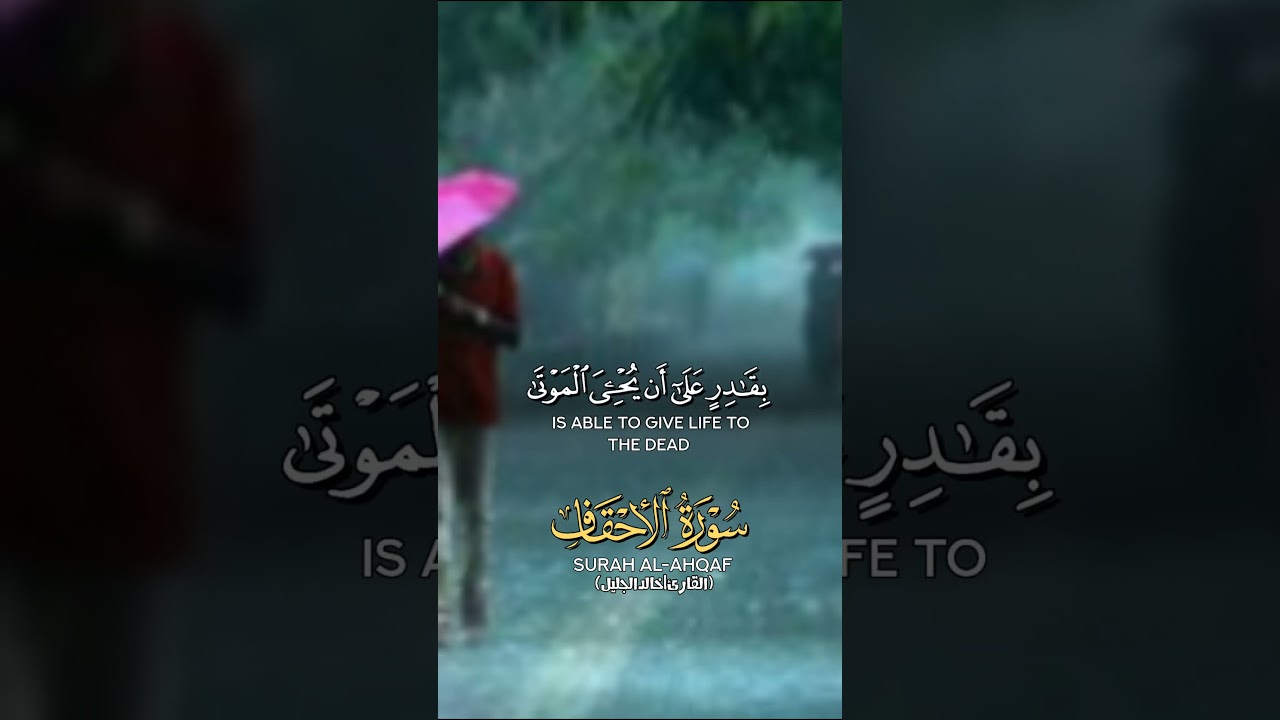 Surah Al-Ahqaaf #quranrectation #islamicvideo #tilawatequran #surahahqaf #viral #duet