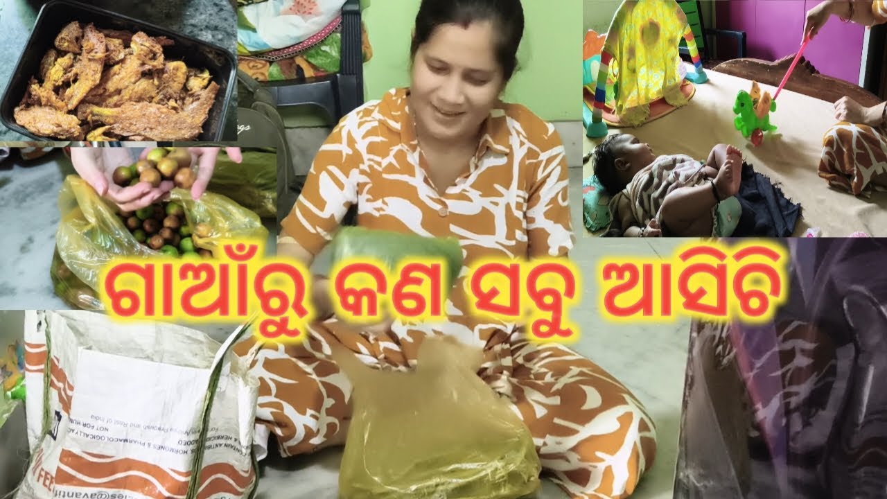ଗାଁରୁ କଣ କଣ ଆସିଲା? 😍 | Baby Toys Unboxing | Daily Life Vlog #odishavloger #dailyvlog 