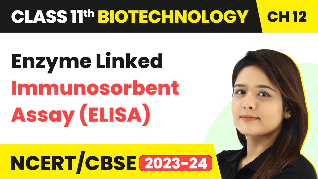 Enzyme Linked Immunosorbent Assay (ELISA) | Class 11 Biotechnology Chapter 12 | CBSE 2024-25