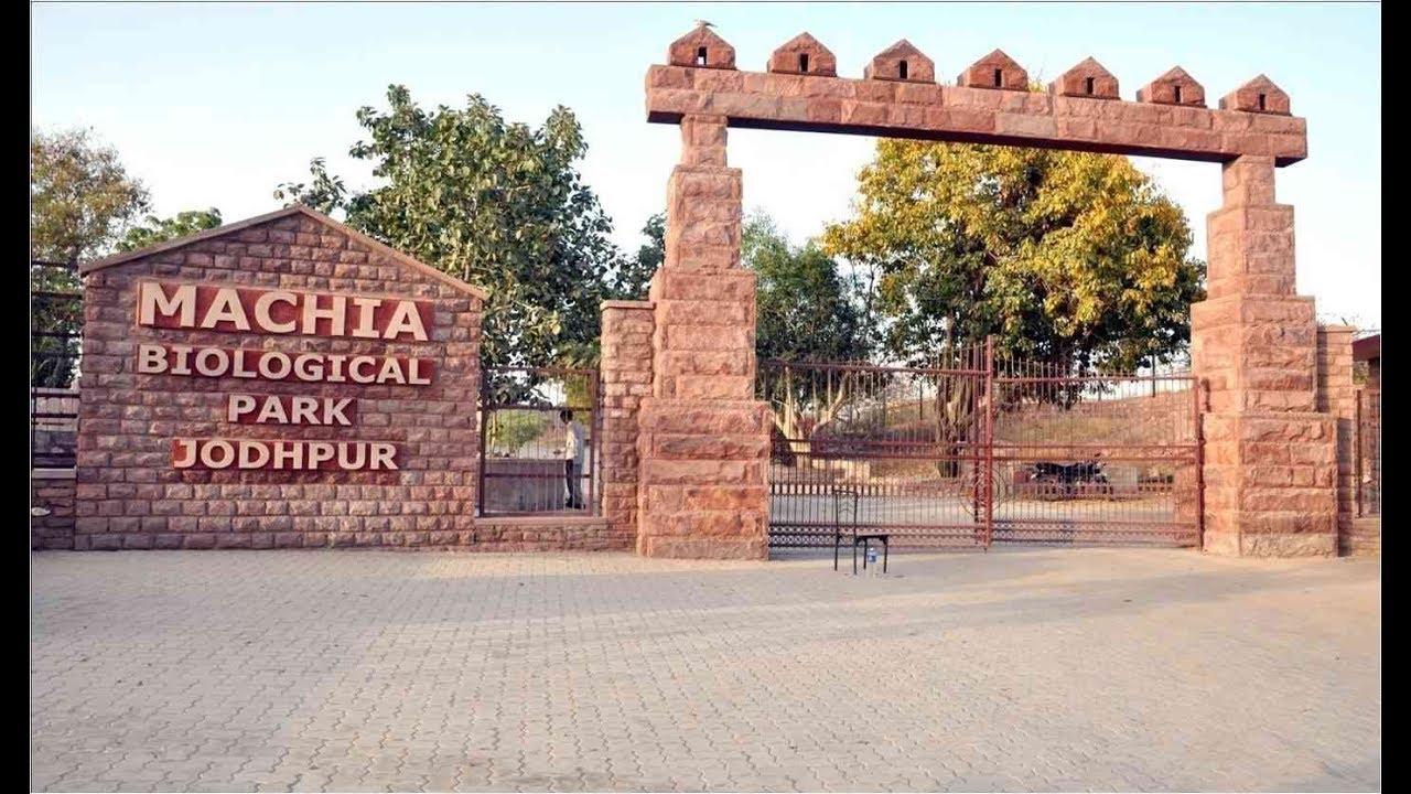 Machia Biological Park Jodhpur | Machia Safari Park | Jodhpur Animal Zoo