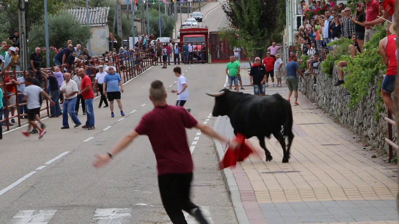 Encierro de Valrubio en Villarino