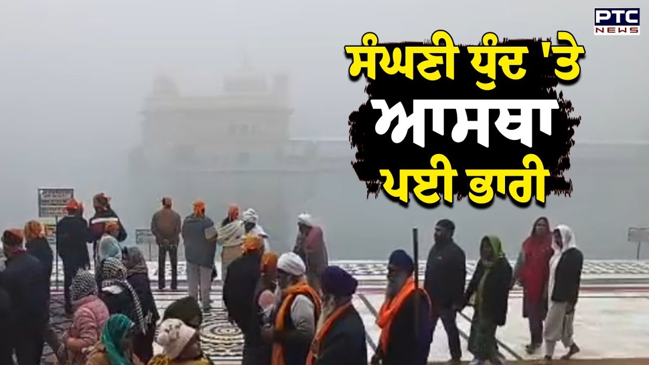 ਸੰਘਣੀ ਧੁੰਦ 'ਚ ਵੀ ਵੱਡੀ ਗਿਣਤੀ 'ਚ ਸੰਗਤ Sri Darbar Sahib ਵਿਖੇ ਹੋ ਰਹੀ ਨਤਮਸਤਕ | Golden Temple |Fog |Punjab
