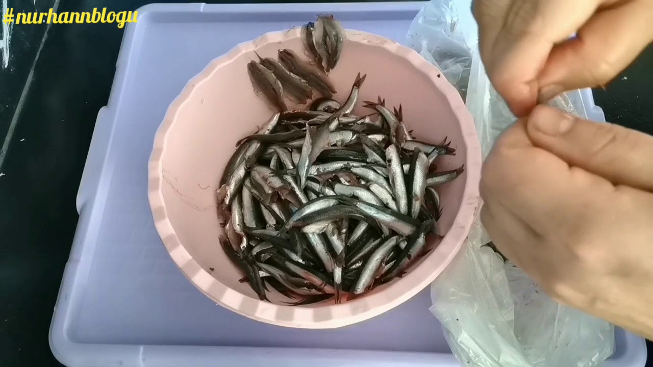 Hamsi nasıl temizlenir/ Hamsi kılçığı nasıl ayıklanır ve nasıl Yıkanır/Hamsi nasıl pişirilir