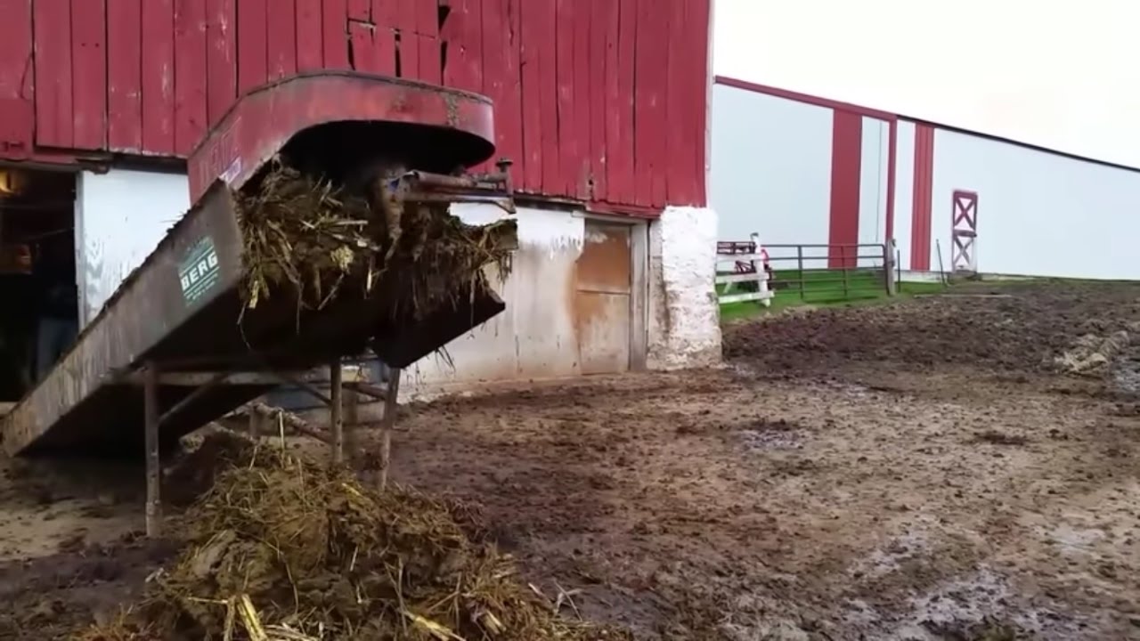 Cleaning the old dairy barn (1 year anniversary of Milk Is The Best!)