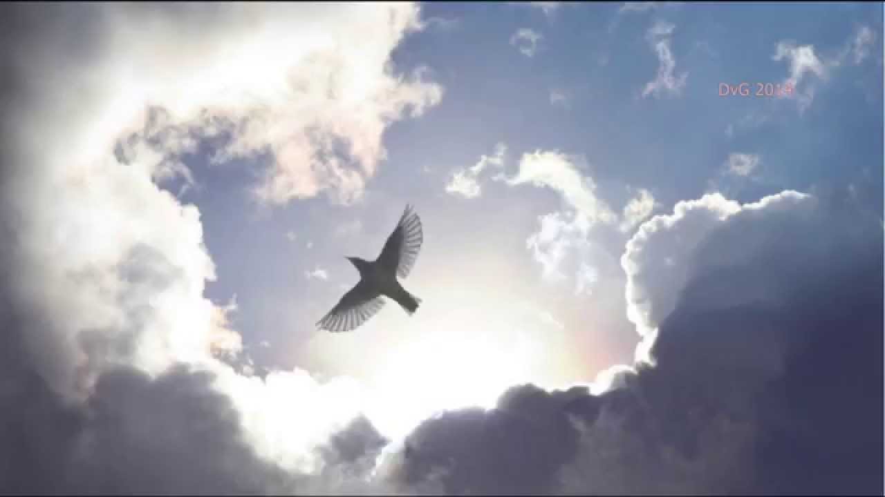 Hermann Hesse - Wolken - Sprecher: Gert Westphal & Untertitel HD