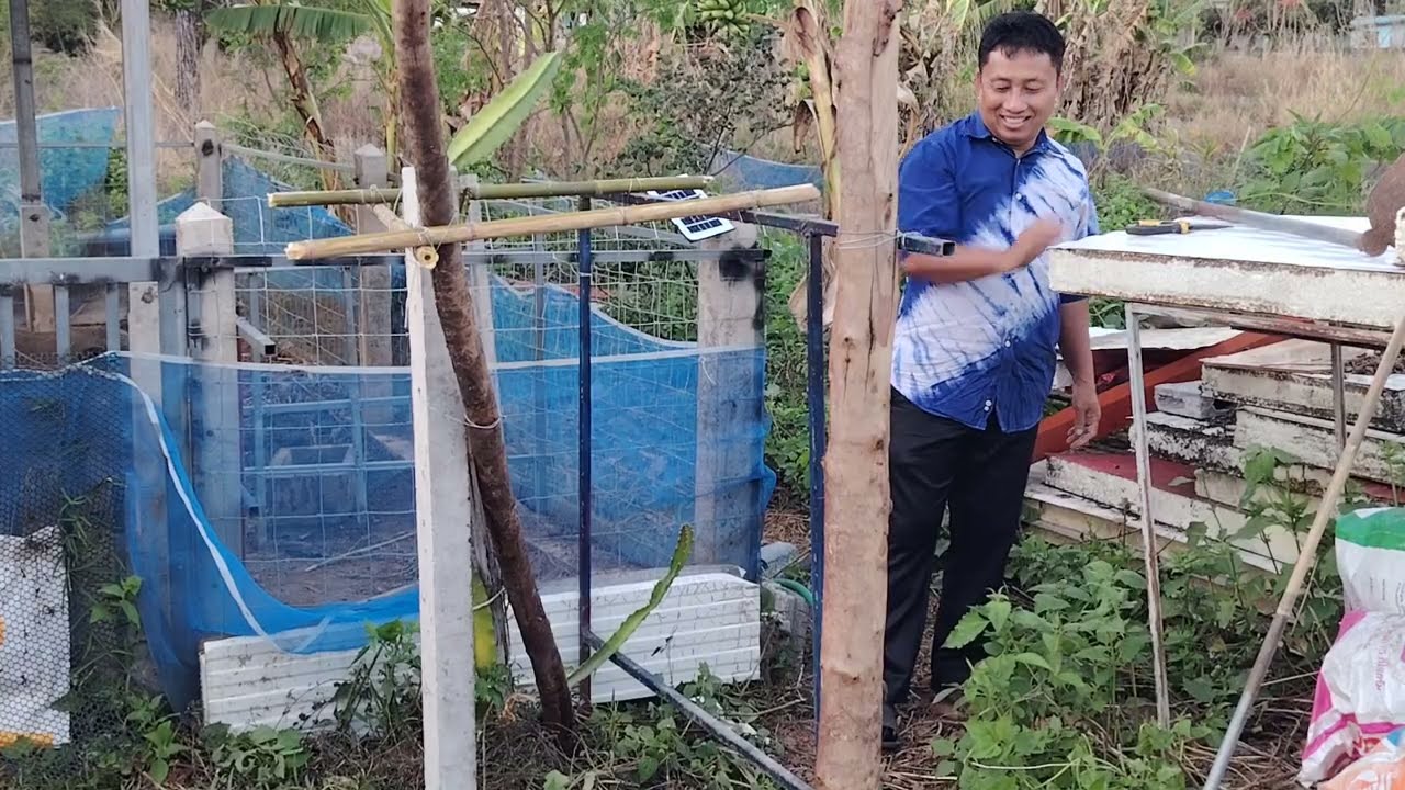 ทำร้านแก้วมังกรข้างคอกหมูป่า​ เลี้ยงหมูป่า​สร้าง​รายได้​ เกษตรพอเพียง​