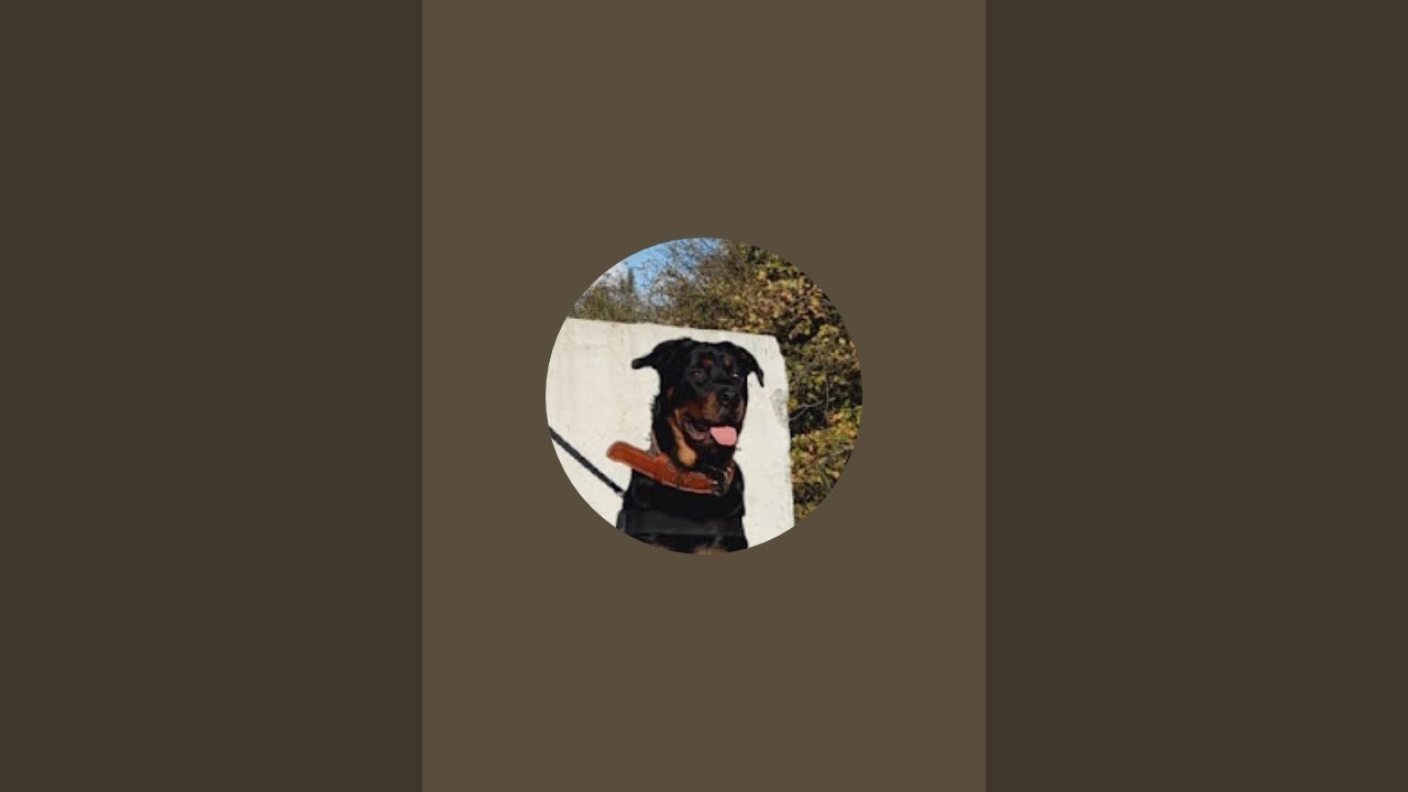 Sokak yayını başlıyor 