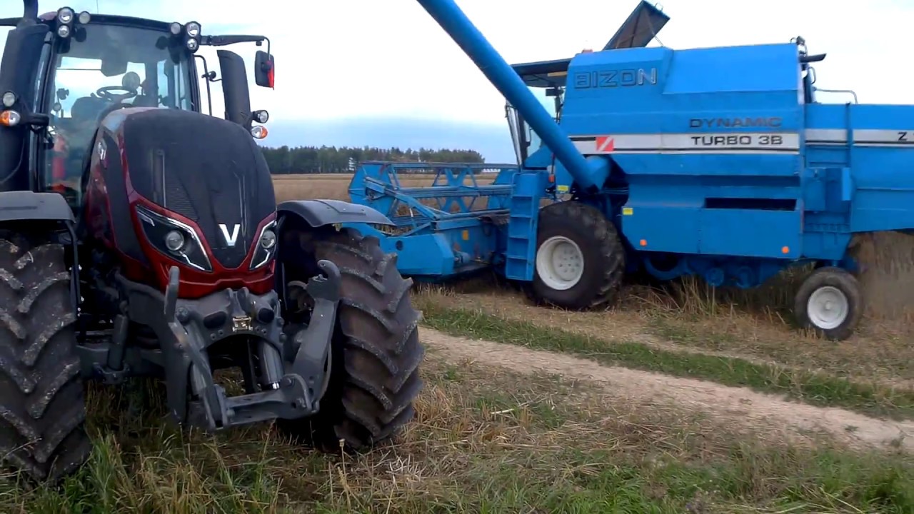 Żniwa Rzepaczane 2018 Bizon Dynamic Z115 TURBO 3B + Valtra T144
