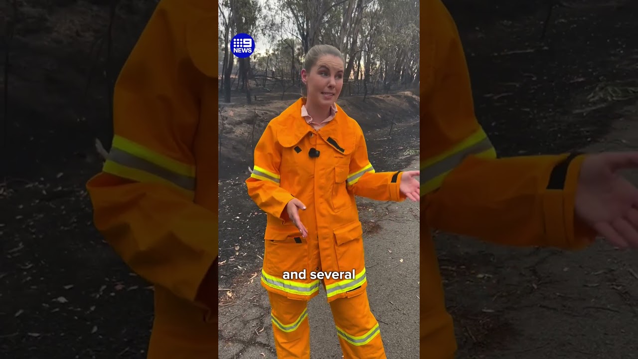 Victoria to suffer through worst fire conditions since 2019 | 9 News Australia