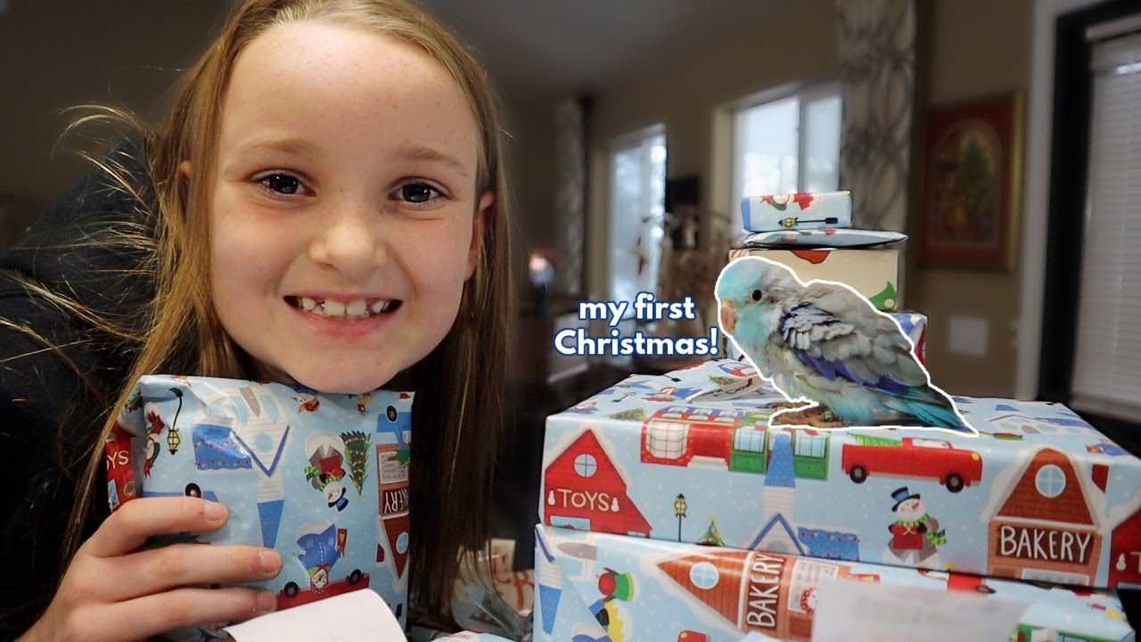Bluee's the Rescue Parrotlet's 1st Christmas! 🎄