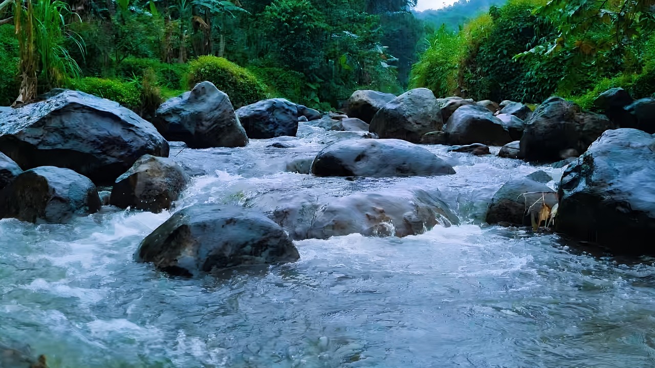 Relaxing River Water Flow and Bird Sounds for Deep Sleep, Study Focus, Meditation & Stress Relief