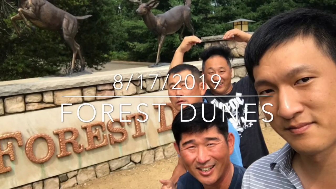 [GOLF Michigan] Forest Dunes The Loop (Black) 1/2