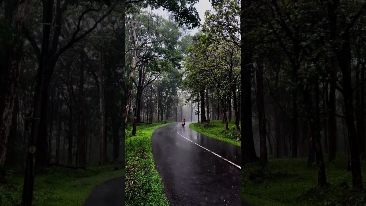 #trending #munnar#rain