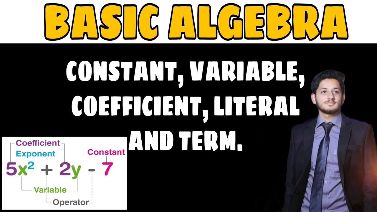 Algebra Basics || What is Algebra? || Constant, Coefficient, Variable, Literals, Term || Hindi/Urdu